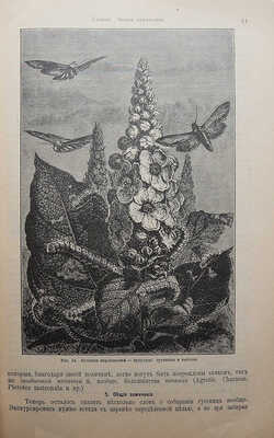 Штандфусс М.Р. Жизнь бабочек, их ловля, воспитание и сохранение. Руководство для собирателей. СПб., [1901].